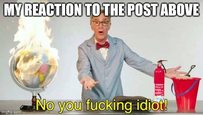 No you f*cking idiot! | MY REACTION TO THE POST ABOVE | image tagged in no you f cking idiot | made w/ Imgflip meme maker