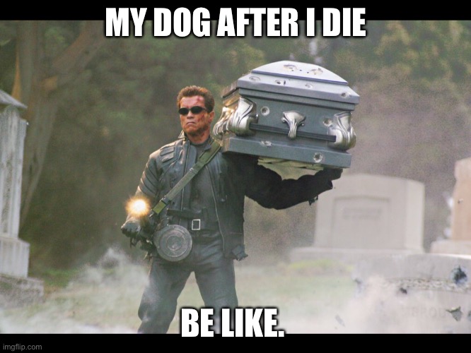 Dog | MY DOG AFTER I DIE; BE LIKE. | image tagged in terminator funeral | made w/ Imgflip meme maker
