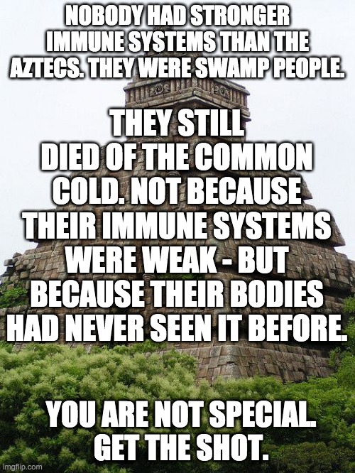 Aztec Temple | NOBODY HAD STRONGER IMMUNE SYSTEMS THAN THE AZTECS. THEY WERE SWAMP PEOPLE. THEY STILL DIED OF THE COMMON COLD. NOT BECAUSE THEIR IMMUNE SYSTEMS WERE WEAK - BUT BECAUSE THEIR BODIES HAD NEVER SEEN IT BEFORE. YOU ARE NOT SPECIAL.
GET THE SHOT. | image tagged in aztec temple | made w/ Imgflip meme maker