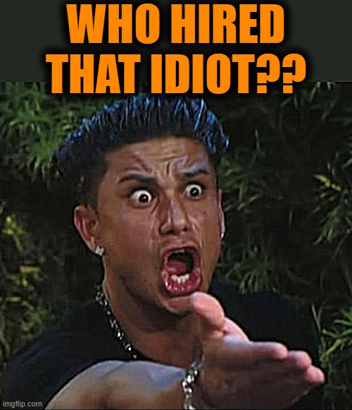 DJ Pauly D Meme | WHO HIRED THAT IDIOT?? | image tagged in memes,dj pauly d | made w/ Imgflip meme maker
