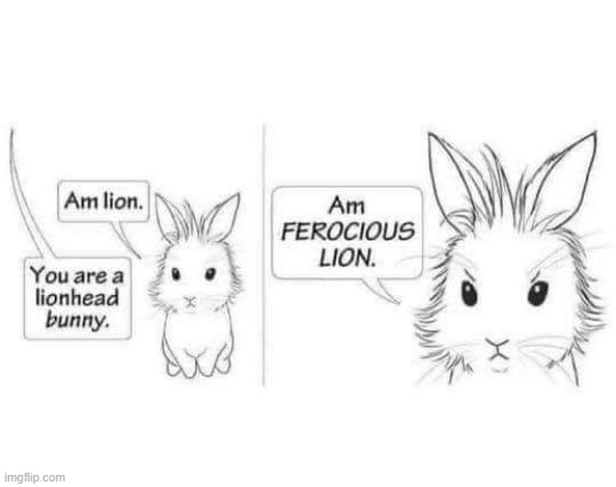 FEROCIOUS LIONHEAD | image tagged in bunny,rabbit,comics/cartoons | made w/ Imgflip meme maker