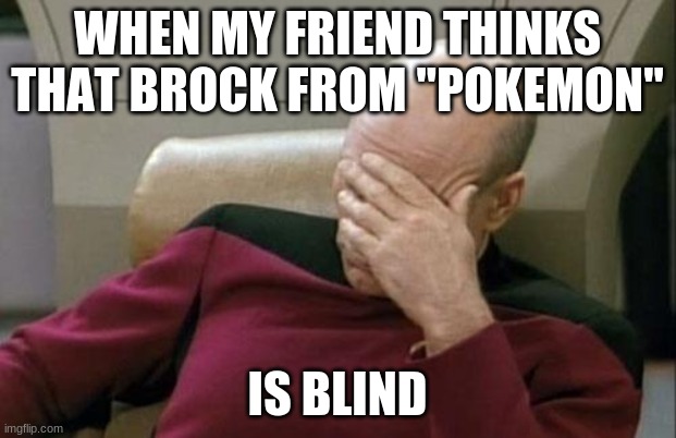Why, because his eyes always seem closed? | WHEN MY FRIEND THINKS THAT BROCK FROM "POKEMON"; IS BLIND | image tagged in memes,captain picard facepalm,pokemon,brock,anime,not a true story | made w/ Imgflip meme maker