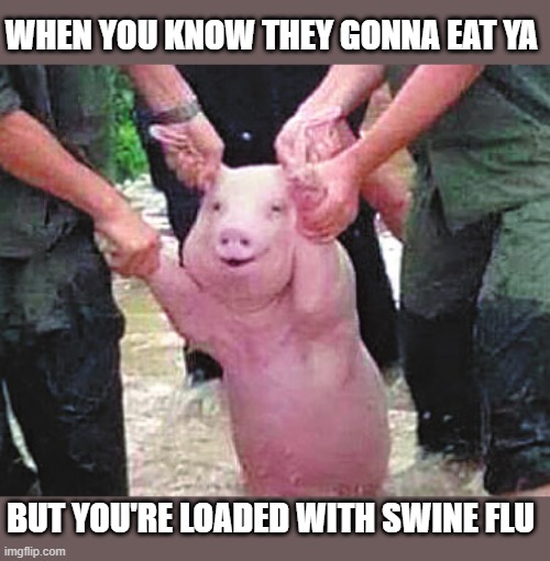 "GO AHEAD AND EAT ME" | WHEN YOU KNOW THEY GONNA EAT YA; BUT YOU'RE LOADED WITH SWINE FLU | image tagged in pig,dark humor | made w/ Imgflip meme maker