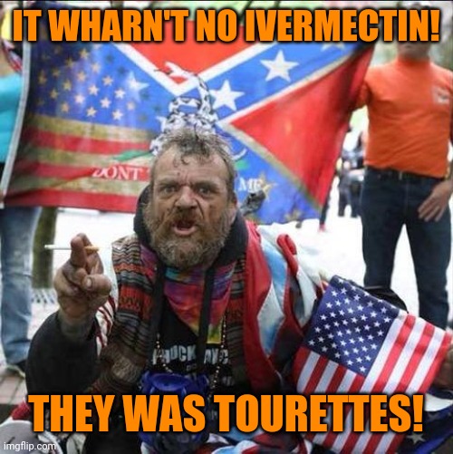 conservative alt right tardo | IT WHARN'T NO IVERMECTIN! THEY WAS TOURETTES! | image tagged in conservative alt right tardo | made w/ Imgflip meme maker