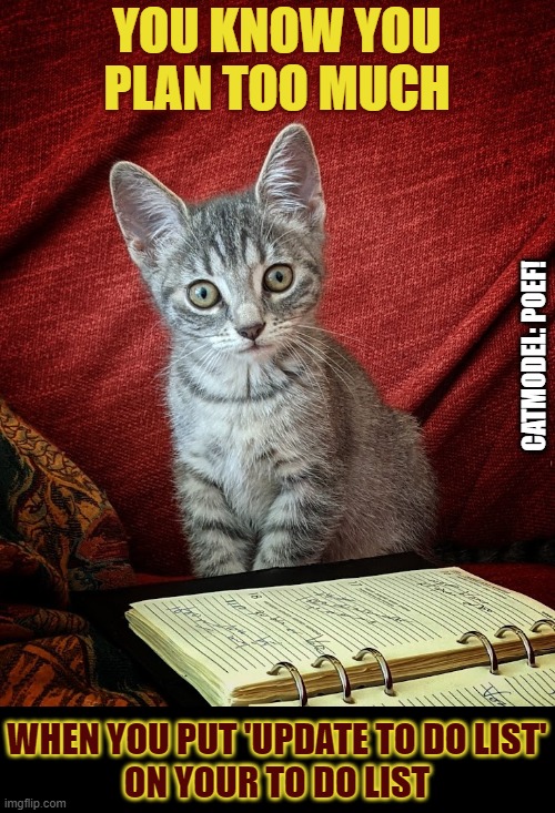 How to know if you plan too much? | YOU KNOW YOU PLAN TOO MUCH; CATMODEL: POEF! WHEN YOU PUT 'UPDATE TO DO LIST'
ON YOUR TO DO LIST | image tagged in lolcat,planning,to do list,agenda | made w/ Imgflip meme maker