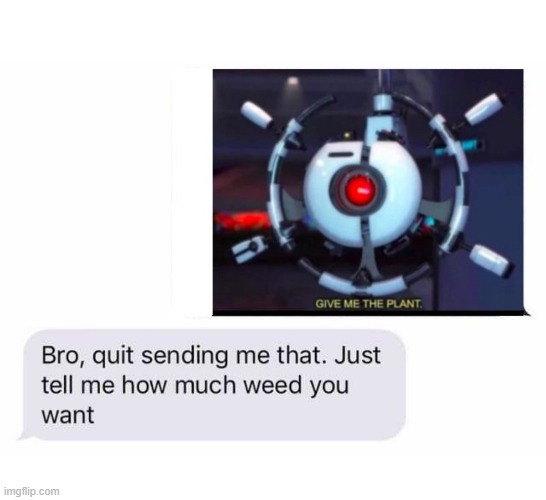 ＧＩＶＥ ＭＥ ＴＨＥ ＰＬＡＮＴ | made w/ Imgflip meme maker