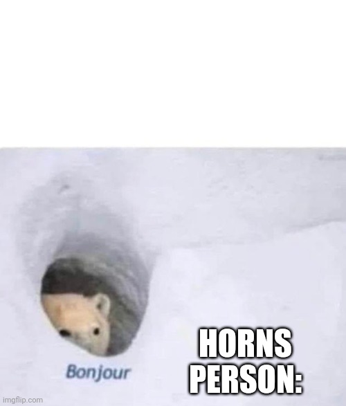 Bonjour | HORNY PERSON: | image tagged in bonjour | made w/ Imgflip meme maker