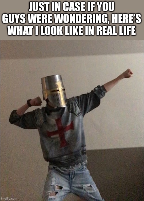 Me irl | JUST IN CASE IF YOU GUYS WERE WONDERING, HERE’S WHAT I LOOK LIKE IN REAL LIFE | image tagged in crusader | made w/ Imgflip meme maker