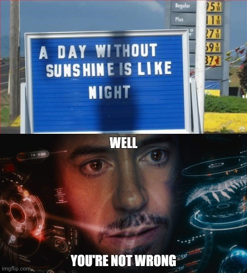 A day without sunshine is like night. | image tagged in well you're not wrong,sunshine,night,memes,meme,shower thoughts | made w/ Imgflip meme maker