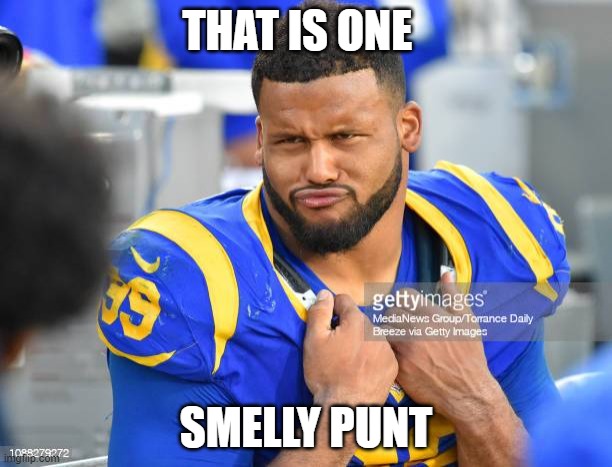 Smelly Punt | THAT IS ONE; SMELLY PUNT | image tagged in nfl football | made w/ Imgflip meme maker
