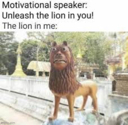 lol who relates | image tagged in funny,lion,motivation | made w/ Imgflip meme maker