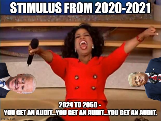 Oprah you get an audit | STIMULUS FROM 2020-2021; 2024 TO 2050 - 
YOU GET AN AUDIT...YOU GET AN AUDIT...YOU GET AN AUDIT. | image tagged in memes,oprah you get a | made w/ Imgflip meme maker