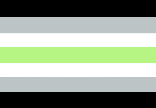 Agender flag Blank Meme Template