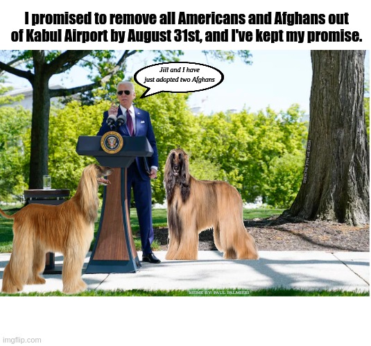 Biden declares Afghan War has officially ended. And all Afghans vetted. | I promised to remove all Americans and Afghans out of Kabul Airport by August 31st, and I've kept my promise. Jill and I have just adopted two Afghans; MEME BY: PAUL PALMIERI; MEME BY: PAUL PALMIERI | image tagged in joe biden,afghanistan,taliban,biden,funny memes,hilarious memes | made w/ Imgflip meme maker