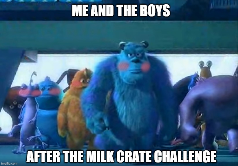 Milk Crate Challenge Fail | ME AND THE BOYS; AFTER THE MILK CRATE CHALLENGE | image tagged in me and the boys,milk | made w/ Imgflip meme maker