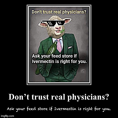 Ivermectin don’t trust real physicians | image tagged in ivermectin don t trust real physicians | made w/ Imgflip meme maker