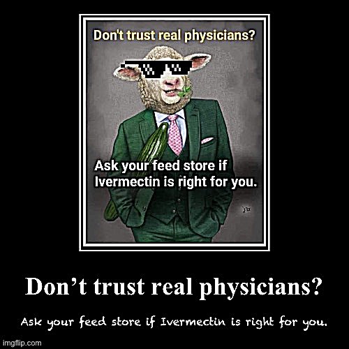 egghead dr.s & libtrads hate it. | image tagged in ivermectin don t trust real physicians,covid-19,covid,covid 19,ivermectin,doctors | made w/ Imgflip meme maker