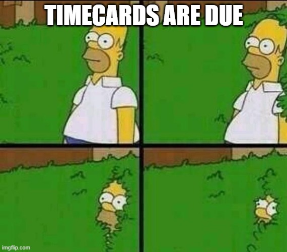 HOmer timeards | TIMECARDS ARE DUE | image tagged in homer bush | made w/ Imgflip meme maker