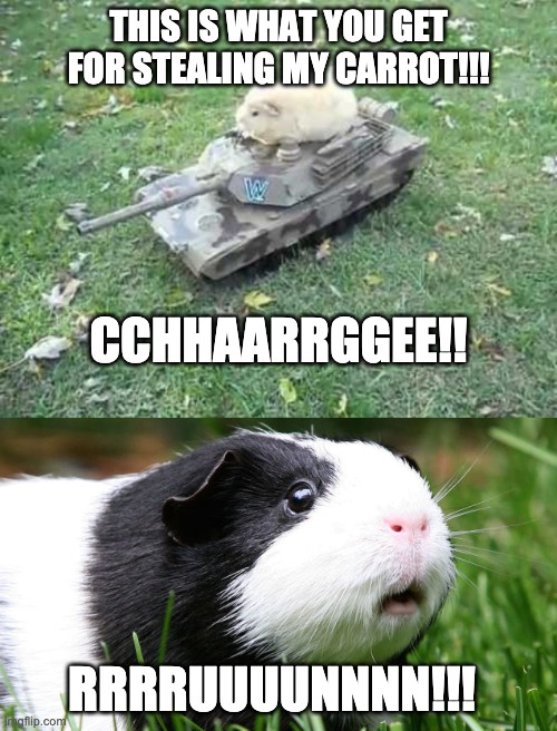 THIS IS WHAT YOU GET FOR STEALING MY CARROT!!! CCHHAARRGGEE!! RRRRUUUUNNNN!!! | image tagged in guinea pig tank,scared guinea pig | made w/ Imgflip meme maker