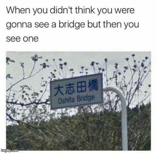 oshita bridge | made w/ Imgflip meme maker