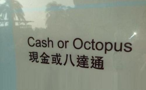 cash or octopus Blank Meme Template