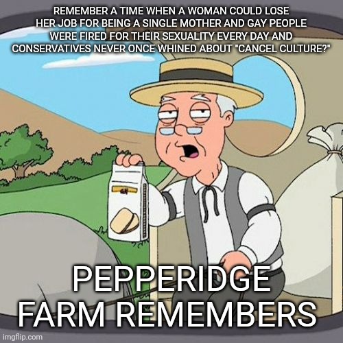 Weird how they only started to cate when predators and racists started losing their jobs | REMEMBER A TIME WHEN A WOMAN COULD LOSE HER JOB FOR BEING A SINGLE MOTHER AND GAY PEOPLE WERE FIRED FOR THEIR SEXUALITY EVERY DAY AND CONSERVATIVES NEVER ONCE WHINED ABOUT "CANCEL CULTURE?"; PEPPERIDGE FARM REMEMBERS | image tagged in memes,pepperidge farm remembers,conservative hypocrisy | made w/ Imgflip meme maker