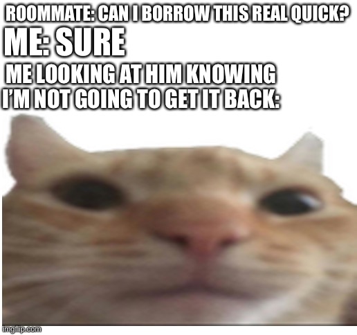 Another item lost to the roommate | ME: SURE; ROOMMATE: CAN I BORROW THIS REAL QUICK? ME LOOKING AT HIM KNOWING I’M NOT GOING TO GET IT BACK: | image tagged in blank white template,relatable | made w/ Imgflip meme maker