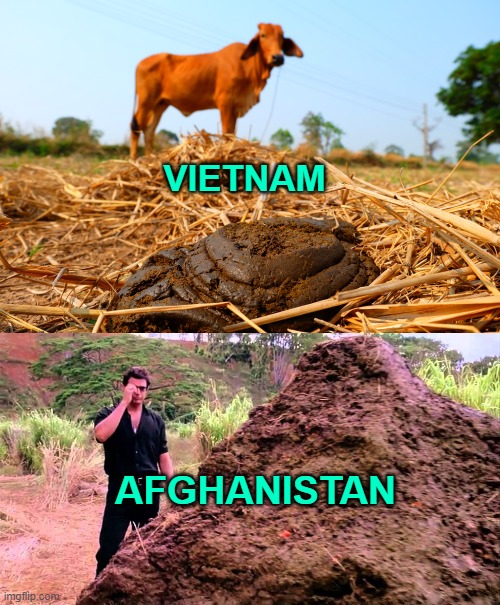How History will Remember It | VIETNAM; AFGHANISTAN | image tagged in afghanistan,vietnam,memes | made w/ Imgflip meme maker