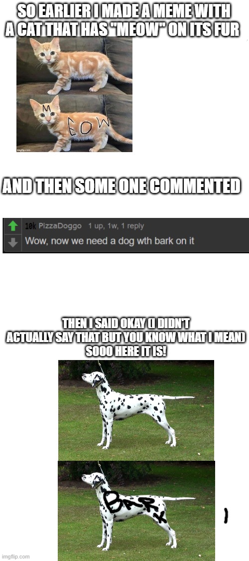 bark | SO EARLIER I MADE A MEME WITH A CAT THAT HAS "MEOW" ON ITS FUR; AND THEN SOME ONE COMMENTED; THEN I SAID OKAY (I DIDN'T ACTUALLY SAY THAT BUT YOU KNOW WHAT I MEAN)
SOOO HERE IT IS! | image tagged in blank white template | made w/ Imgflip meme maker