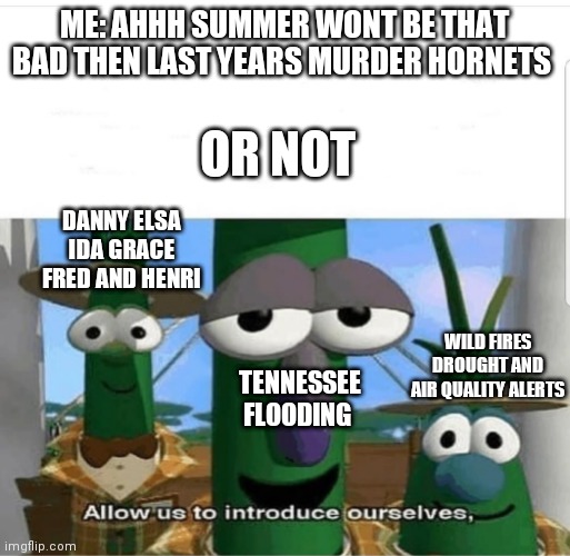 Allow us to introduce ourselves | ME: AHHH SUMMER WONT BE THAT BAD THEN LAST YEARS MURDER HORNETS; OR NOT; DANNY ELSA IDA GRACE FRED AND HENRI; WILD FIRES DROUGHT AND AIR QUALITY ALERTS; TENNESSEE FLOODING | image tagged in allow us to introduce ourselves | made w/ Imgflip meme maker