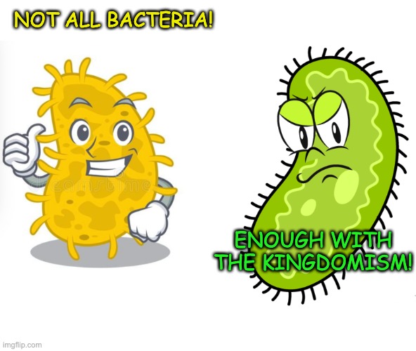 NOT ALL BACTERIA! ENOUGH WITH THE KINGDOMISM! | made w/ Imgflip meme maker