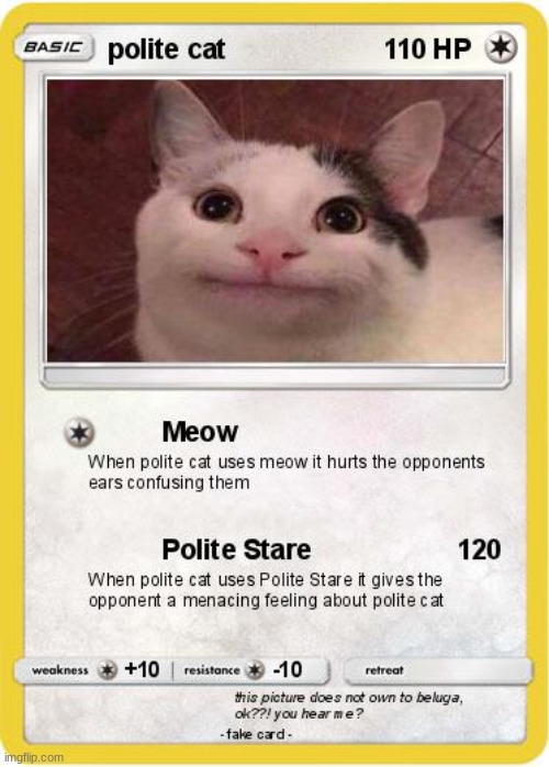 pokemon cards in the meme region pt.11 | image tagged in polite cat,pokemon | made w/ Imgflip meme maker