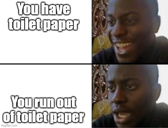 toilet paper |  You have toilet paper; You run out of toilet paper | image tagged in oh yeah oh no | made w/ Imgflip meme maker