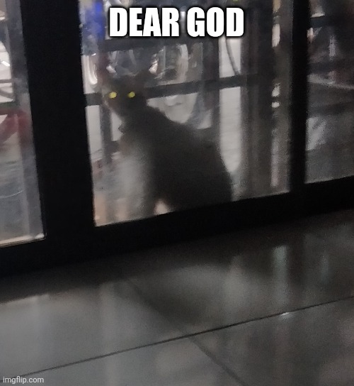 DEAR GOD | made w/ Imgflip meme maker