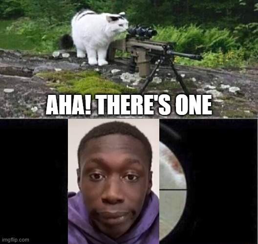 Sniper cat | AHA! THERE'S ONE | image tagged in sniper cat | made w/ Imgflip meme maker