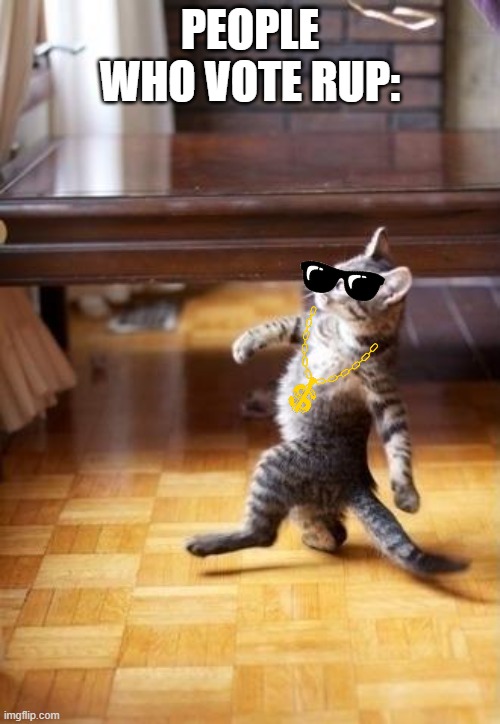 Cool Cat Stroll Meme | PEOPLE WHO VOTE RUP: | image tagged in memes,cool cat stroll | made w/ Imgflip meme maker