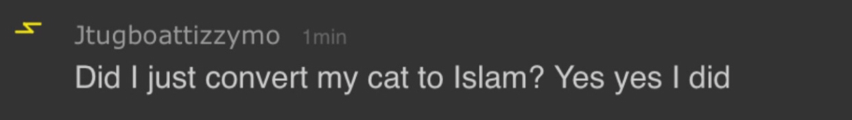 High Quality Islam cat conversion Blank Meme Template
