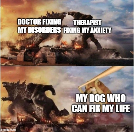 Kong Godzilla Doge | DOCTOR FIXING MY DISORDERS; THERAPIST FIXING MY ANXIETY; MY DOG WHO CAN FIX MY LIFE | image tagged in kong godzilla doge | made w/ Imgflip meme maker