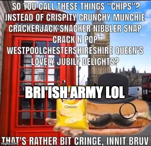 so you call these things chips? | BRI'ISH ARMY LOL | image tagged in so you call these things chips | made w/ Imgflip meme maker