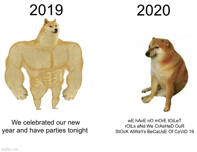 Buff Doge vs. Cheems Meme | 2019; 2020; We celebrated our new year and have parties tonight; wE hAvE nO mOrE tOiLeT rOlLs aNd We CrAsHeD OuR StOcK AlWaYs BeCaUsE Of CoViD 19 | image tagged in memes,buff doge vs cheems | made w/ Imgflip meme maker