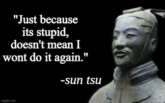Sun Tzu | "Just because its stupid, doesn't mean I wont do it again." | image tagged in sun tsu fake quote | made w/ Imgflip meme maker