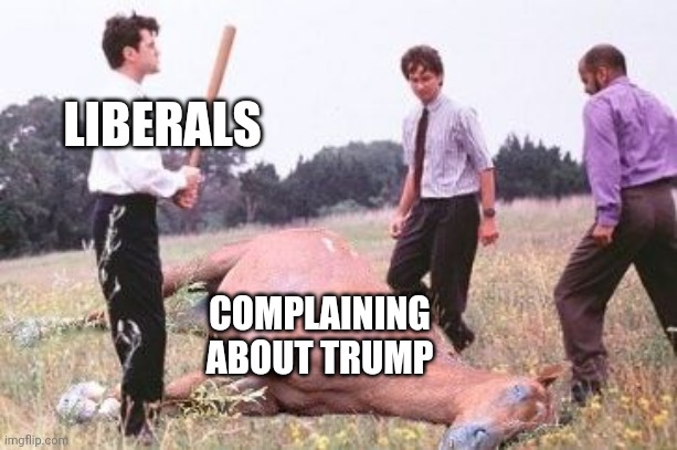 Office Space Dead Horse Beating | LIBERALS; COMPLAINING ABOUT TRUMP | image tagged in office space dead horse beating | made w/ Imgflip meme maker