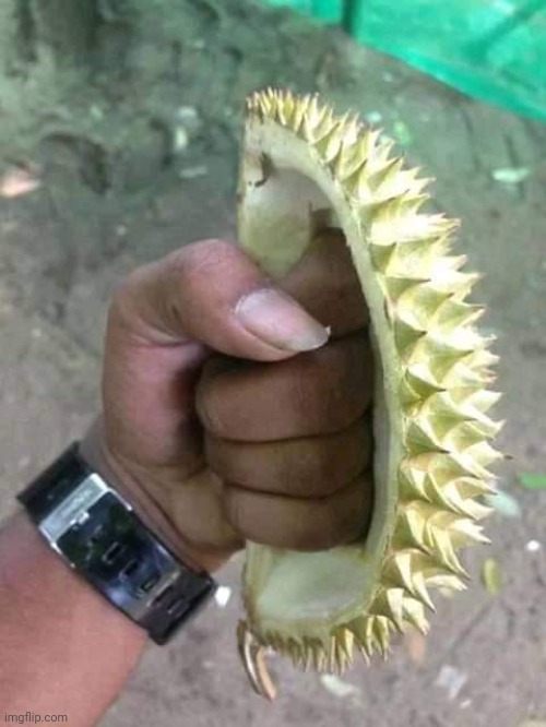 durian man protects his shop using secret durian weapon | made w/ Imgflip meme maker