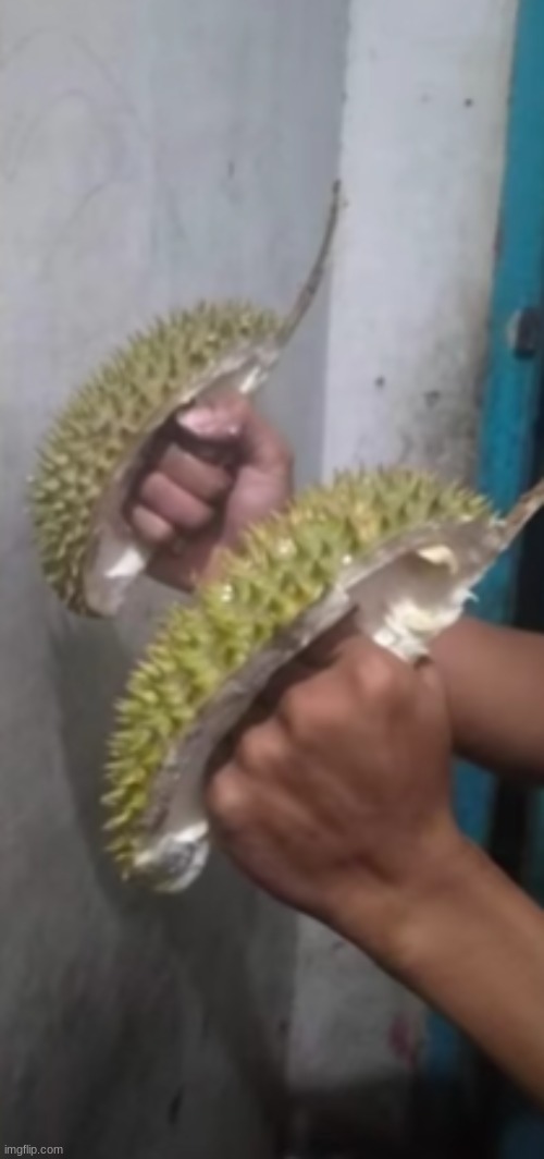 Durian Knuckles | image tagged in durian knuckles | made w/ Imgflip meme maker