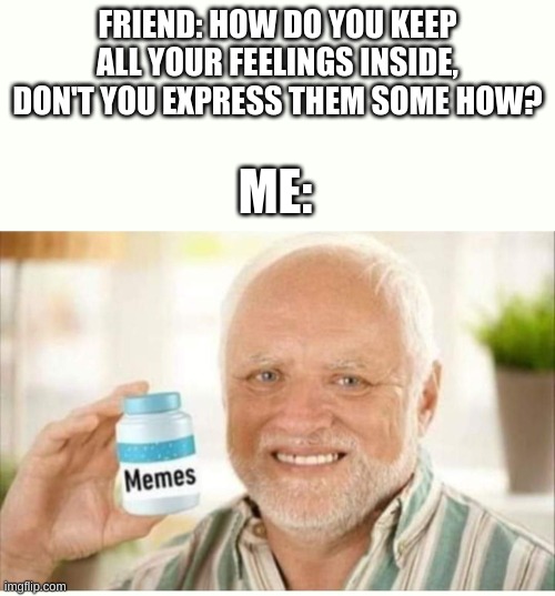 memes | FRIEND: HOW DO YOU KEEP ALL YOUR FEELINGS INSIDE, DON'T YOU EXPRESS THEM SOME HOW? ME: | image tagged in memes | made w/ Imgflip meme maker