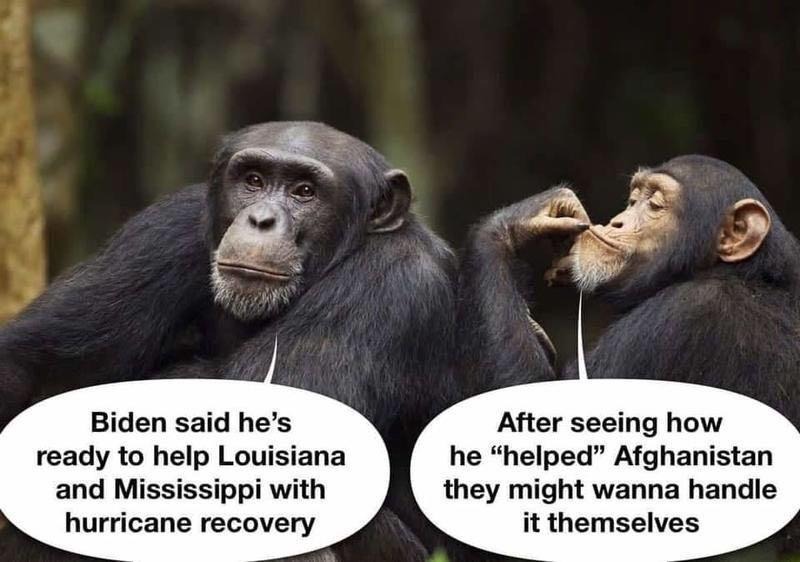 Biden said he's ready to help Louisiana with hurricane recovery. | image tagged in incompetent joe biden,joe and the ho,kamala harris | made w/ Imgflip meme maker