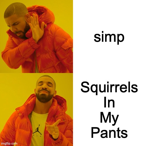 from phineas and ferb | simp; Squirrels
In
My
Pants | image tagged in memes,drake hotline bling | made w/ Imgflip meme maker