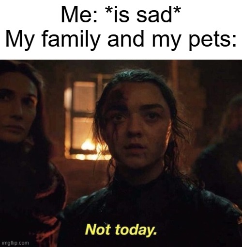 Arya Not Today | Me: *is sad*
My family and my pets: | image tagged in arya not today | made w/ Imgflip meme maker