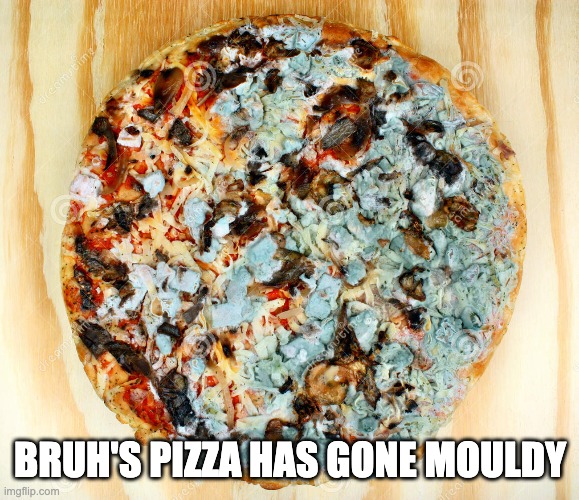 BRUH'S PIZZA HAS GONE MOULDY | made w/ Imgflip meme maker