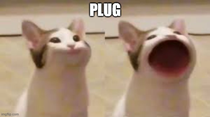 ?‍♀️? | PLUG | image tagged in pop cat | made w/ Imgflip meme maker